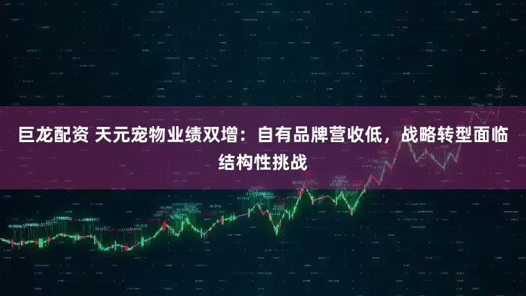 巨龙配资 天元宠物业绩双增：自有品牌营收低，战略转型面临结构性挑战